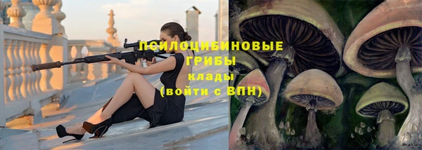 эйфоретик Рославль