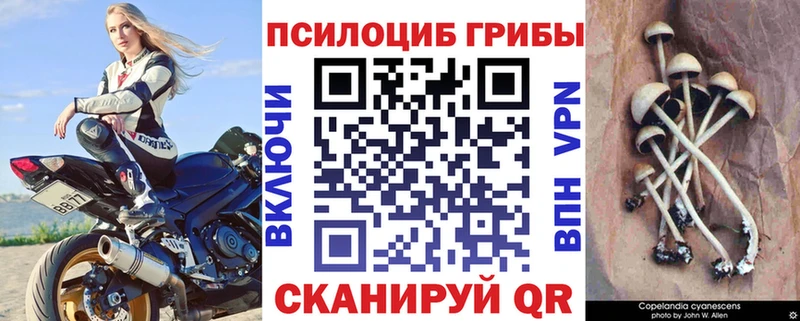 продажа наркотиков  Северская  Галлюциногенные грибы мухоморы 